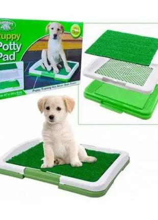 Туалет для собак puppy potty pad7 фото