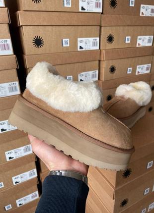 Уггі ugg coquette platform chestnut