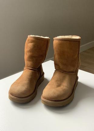 Оригинальные сапоги ugg2 фото