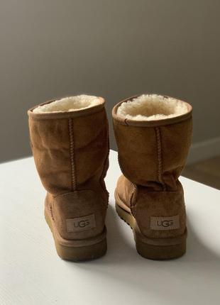 Оригинальные сапоги ugg3 фото