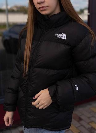 Пуховик tnf