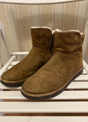 Черевики ugg1 фото