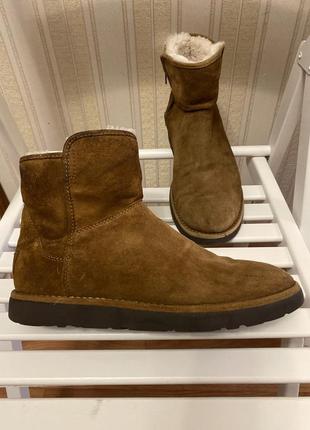 Черевики ugg3 фото