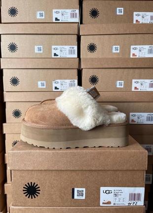 Сапоги теплые ugg disquette slipper platform chestnut (мех)2 фото