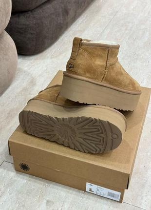 Вже в наявності ugg низькі классика5 фото