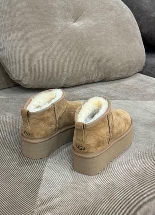 Уже в наличии ugg низкие классика4 фото