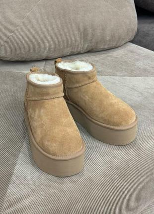 Вже в наявності ugg низькі классика6 фото