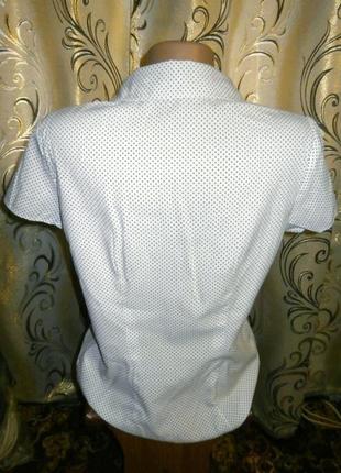 1+1=3 класична блуза в горошок bhs5 фото