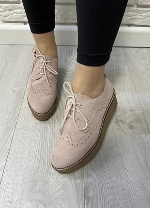 Туфли, броги, замшевые туфли, туфли на танкетке