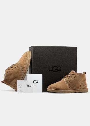 Чоловічі уггі ugg neumel beige бежевого кольору