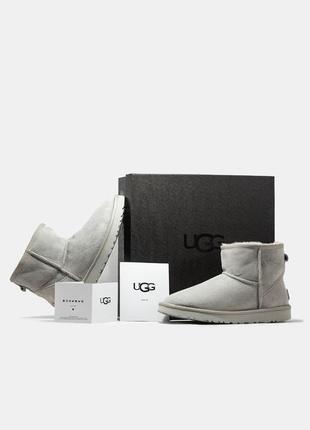 Женские угги ugg classic mini grey мини серого цвета