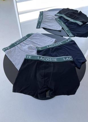 Мужской набор трусов lacoste | комплект мужского белья лакост их хлопка 3 шт боксеры (bon)