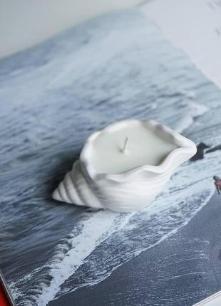 Cоевая свеча с эфирными аромамаслами в гипсовом кашпо морская раковина 10,5 х 4.5см2 фото