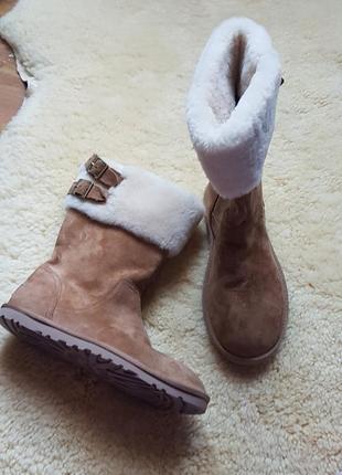 Сапоги  ugg   australia2 фото