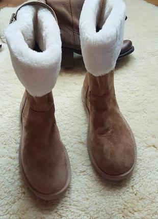 Сапоги  ugg   australia