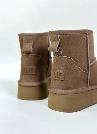 Угги женские теплые на меху из натуральной замши укороченная модель ugg4 фото