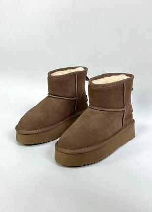 Угги женские теплые на меху из натуральной замши укороченная модель ugg