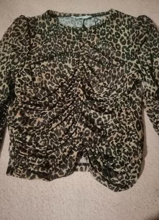 Кофтина укорочена