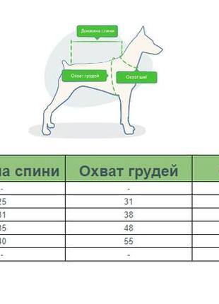 Дождевик для собак с капюшоном и принтом яблоко s размер4 фото