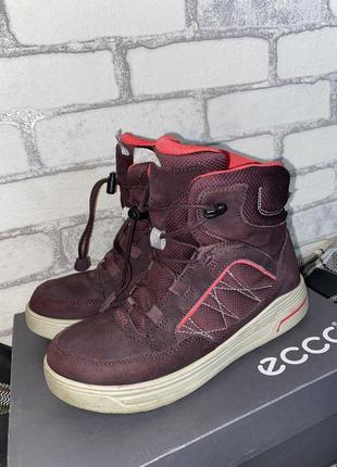 Зимние ботинки ecco urban snowboarder, gore-tex, 373 фото