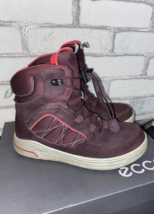 Зимние ботинки ecco urban snowboarder, gore-tex, 371 фото