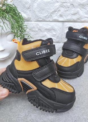 Стильные зимние ботинки clibee