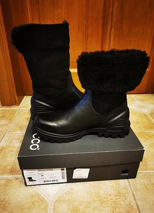 Черевики ecco 7
