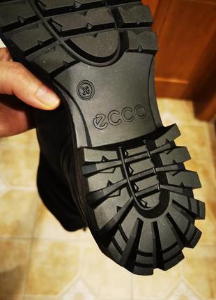 Черевики ecco 8