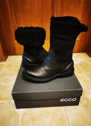 Черевики ecco 6