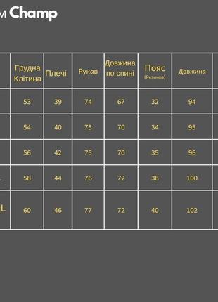 Хітовий преміум теплий костюм чоловічий з начосом якісний комплект худі і штани the champ зимовий2 фото