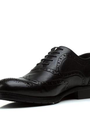 Туфлі чоловічі cossottini шкіряні на шнурівках класичні чорні 24975 фото