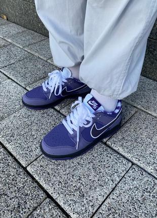 Женские кроссовки nike sb dunk low purple lobster фиолетового цвета4 фото