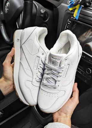 Кроссовки reebok classic белые (термо)2 фото