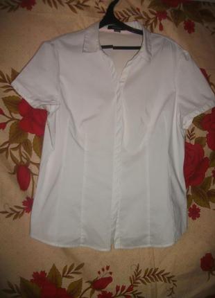 Рубашка белая2 фото