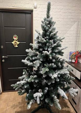 Елка элитная