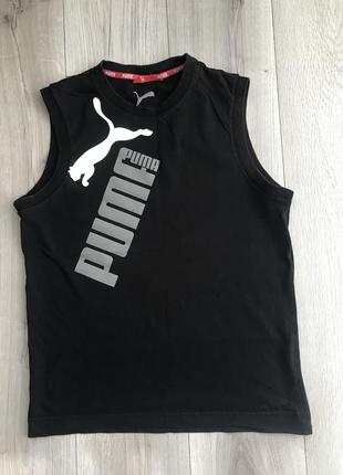 Puma