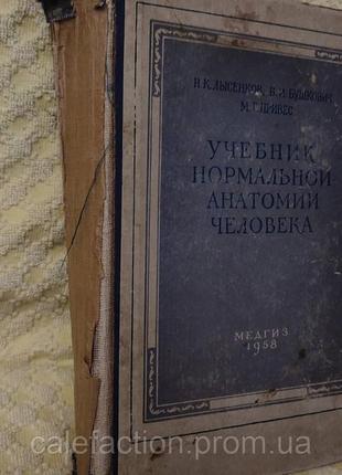 Учебник нормальной анатомии человека н.к.лысенков медгиз 1958г2 фото