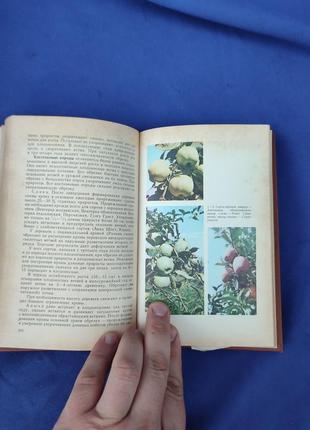 Книга книжка плодоводство с основами декоративного садоводства в.и. якушев в. в. шевченко4 фото