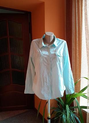 Сорочка papaya