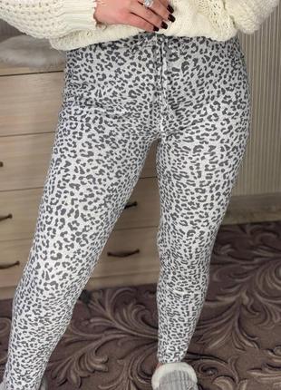 Серые леопардовые спортивные штаны