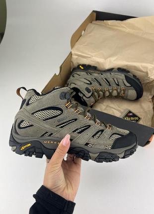 Черевики merrell moab 2 ltr mid gore-tex j598233 pecan, оригінальні черевики мерел замша