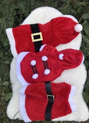 Новогодняя одежда собаке