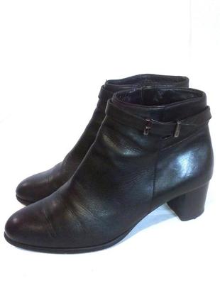 👢 стильные кожаные демисезонные ботильоны ботинки на каблуке от verdi, р.38 код b3889