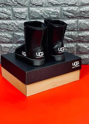 Женские сапоги ugg кожаные зимние сапоги уг угги уггі ботинки2 фото