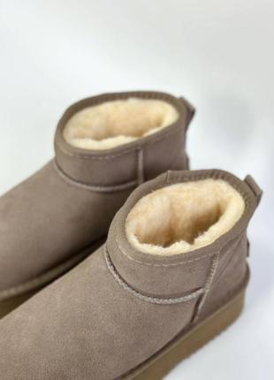 Ugg brow hs4 фото