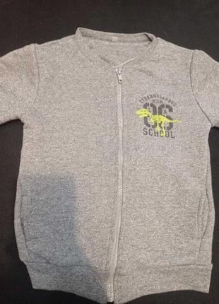 Серая кофта тираннозавр 122 размер 2294
