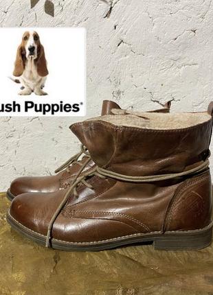 Сапоги ботинки женские 🥾   hush puppies  🥾  оригинал, натуральная кожа/мех, р. 40 р.