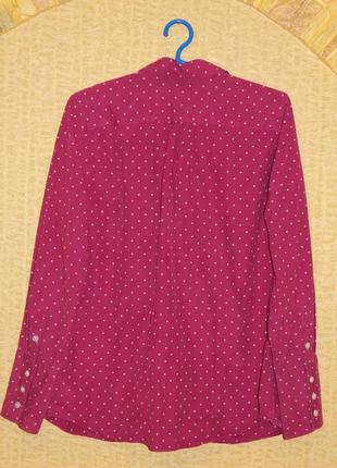 Блуза фиолетовая в горошек р. 46-48 lands'en4 фото