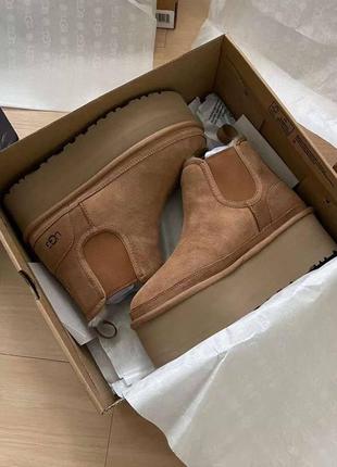 Ugg neumel platform chelsea boot chestnut