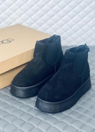 Челси черные угги на платформе женские ugg челси зима8 фото